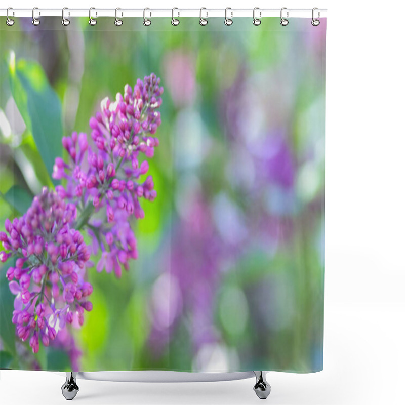 Personality  Lilac In Violet Toning, Blossoming Lilac In Sunlight, Purple Flowers With Copy Space, Blank For Postcard, Blurred Background, Festive Bouquet Shower Curtains