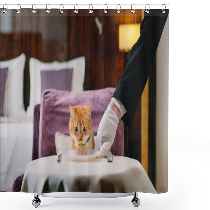 Personality  Red Cat With Bib Waiting For Food In The Room Shower Curtains