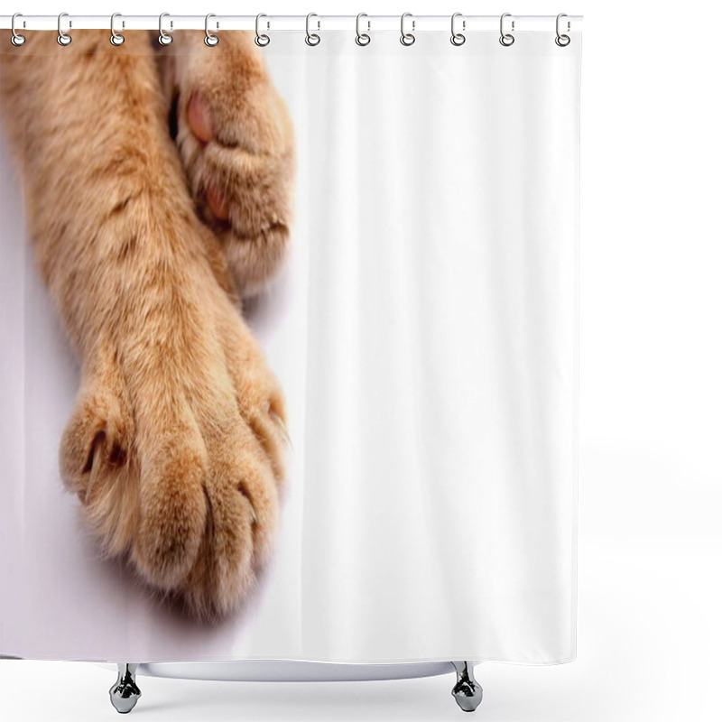 Personality  Paw Of A Red Cat With Claws Close-up On A White Background. Shower Curtains