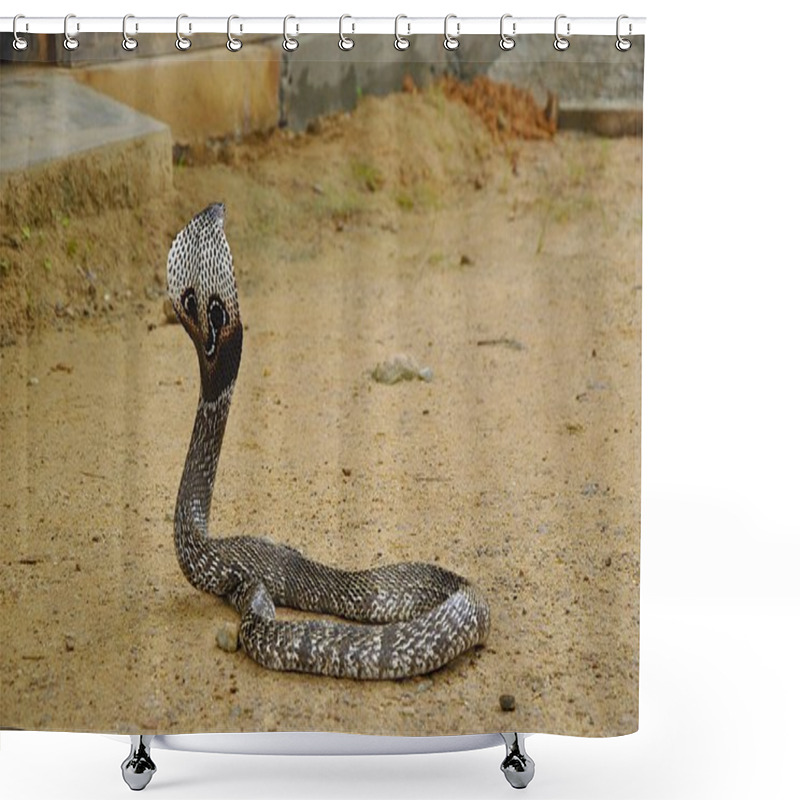 Personality  Poisonous cobra on brown ground shower curtains