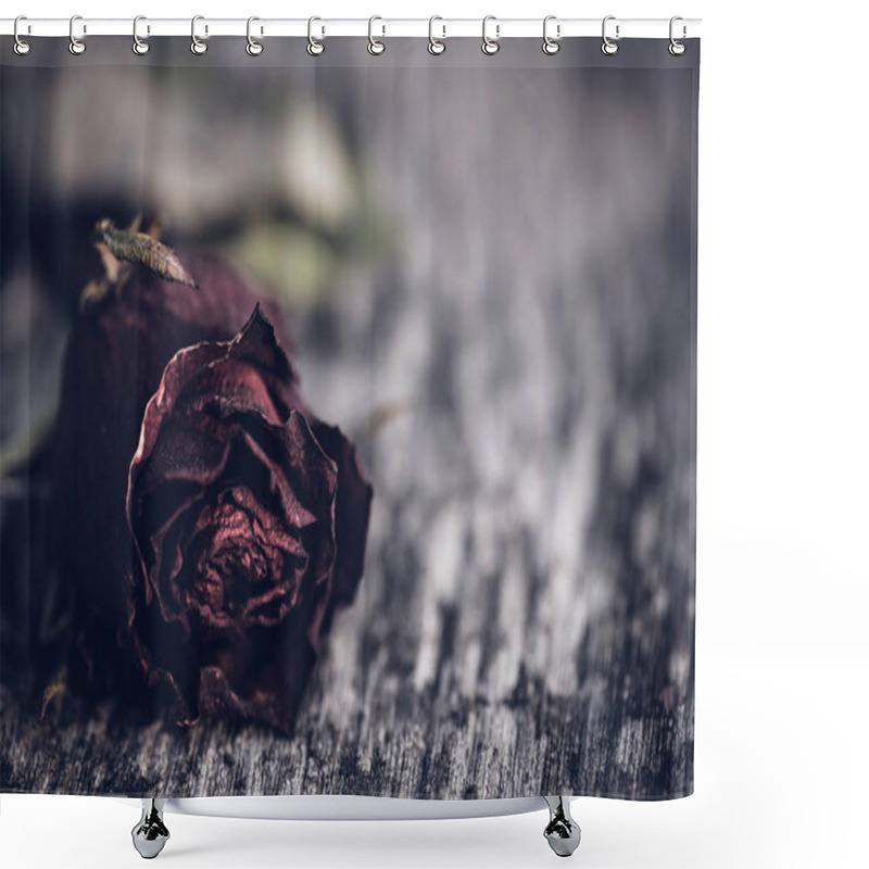 Personality  Closeup Dried Red Rose, Dead Red Rose On Wooden Background  Shower Curtains