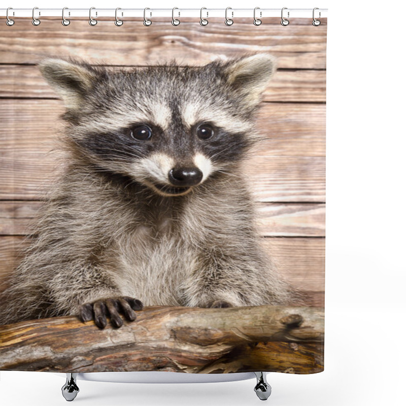 Personality  Portrait Of A Raccoon Shower Curtains