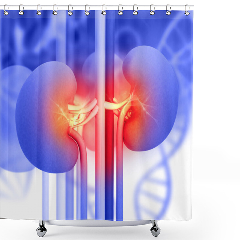 Personality  Human Kidney Shower Curtains