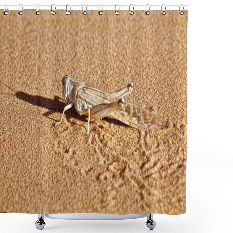 Personality  Side-profile Of A Locust In Desert Sand Shower Curtains