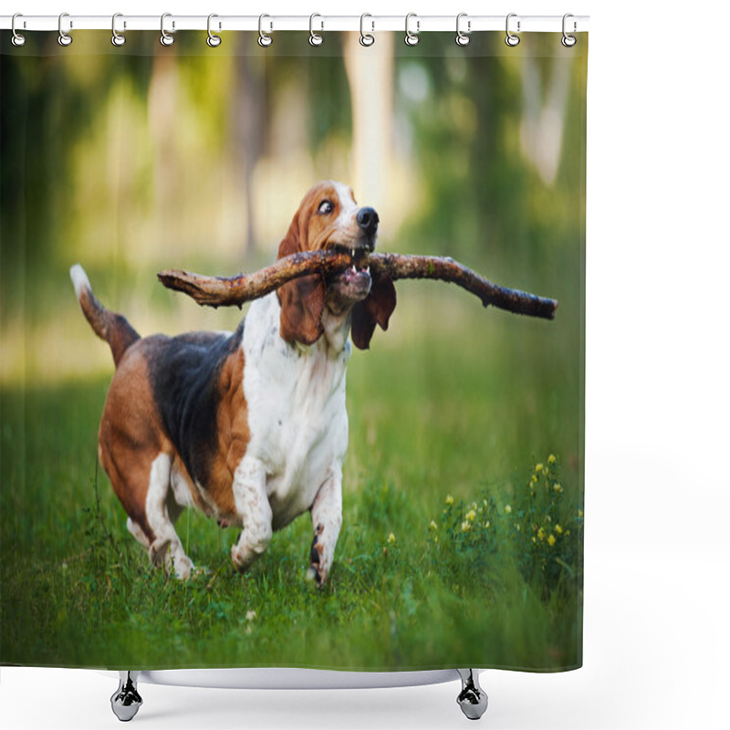 Personality  Funny Dog Basset Hound Running With Stick Shower Curtains