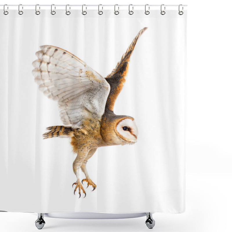 Personality  Side View Of A Barn Owl, Nocturnal Bird Of Prey, Flying Wings Spread, Tyto Alba, Isolated On Withe Shower Curtains