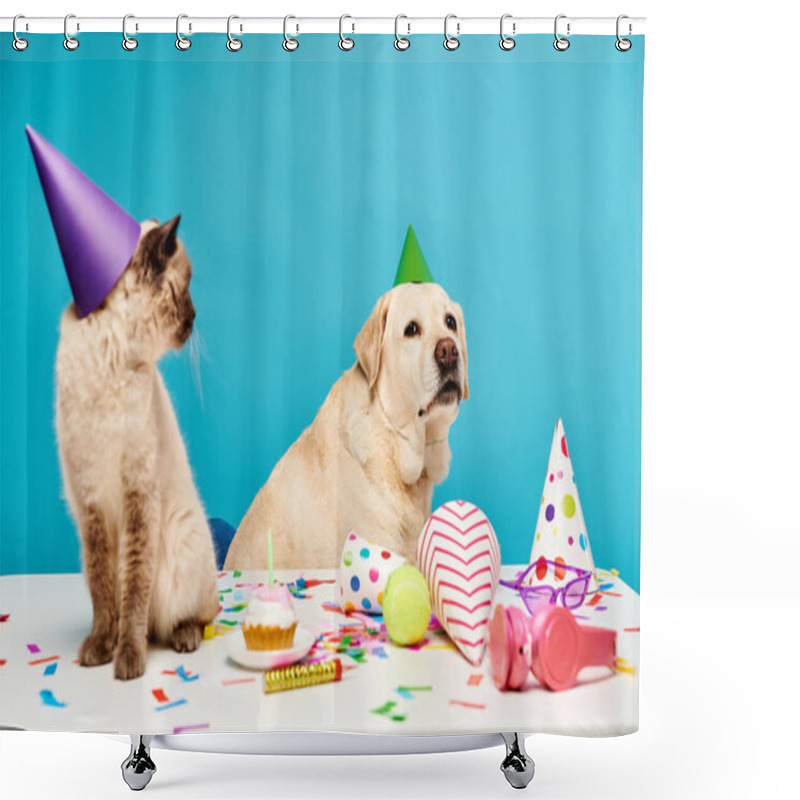 Personality  A Cat And A Dog Sitting At A Table, Enjoying Each Others Company In A Cozy Indoor Setting. Shower Curtains