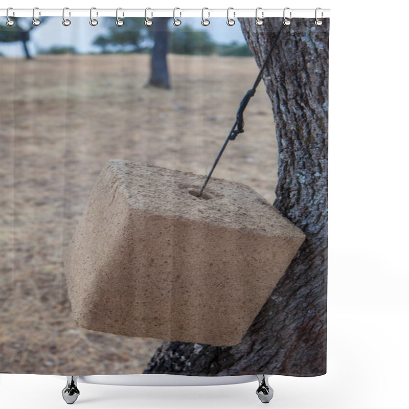 Personality  Natural Sea Salt Cube Hanging From Tree Branch. Big Game Hunting Estate Shower Curtains