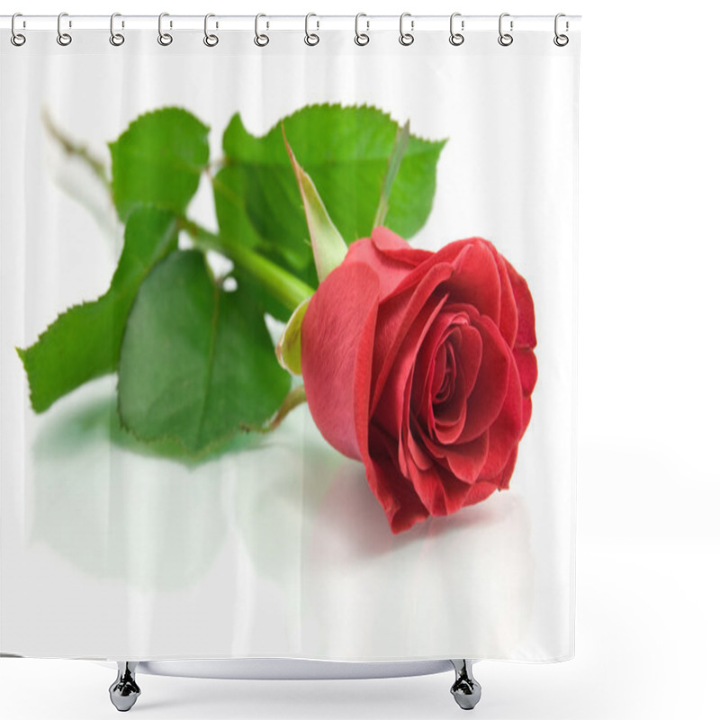 Personality  Red Rose On The White Shower Curtains