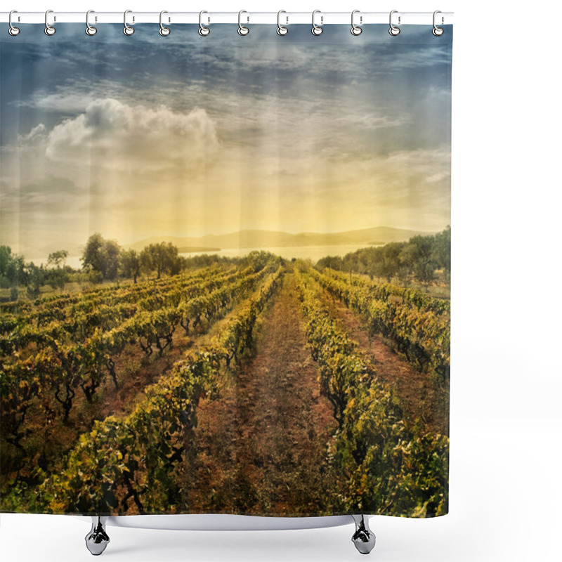 Personality  Vineyard Landscape Shower Curtains