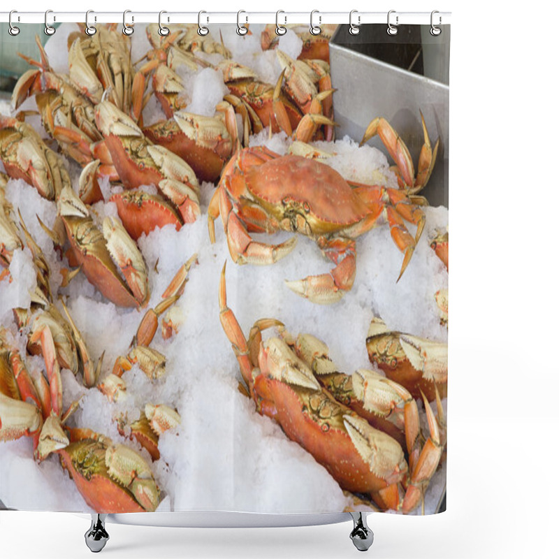 Personality  Cooked Dungeness Crabs On Ice Shower Curtains