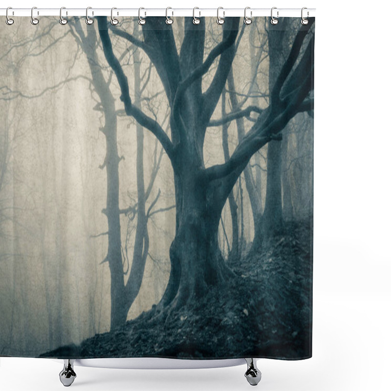 Personality  A Mysterious Forest, With Trees Silhouetted Against Winter Fog. With A Vintage, Grunge Blue Monochrome Edit. Shower Curtains