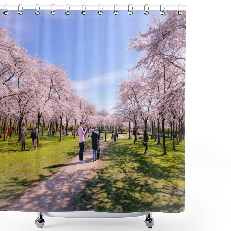 Personality  Pink Japanese Cherry Blossom Garden In Amsterdam In Full Bloom, Bloesempark - Amsterdamse Bos Netherlands Shower Curtains