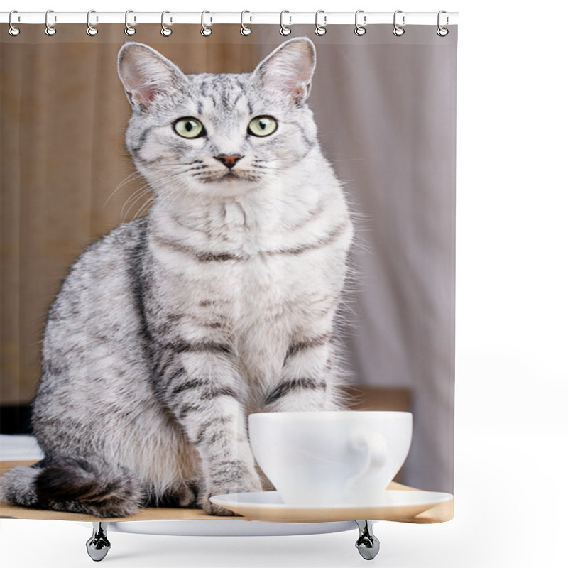 Personality  White Tea Mug Cat Shower Curtains