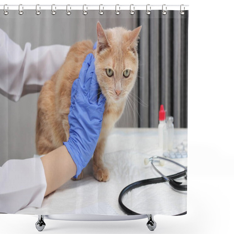 Personality  At The Vet's. A Red Cat Is Being Examined By A Veterinarian. The Vet Holds The Ginger Cat On The Table. Shower Curtains