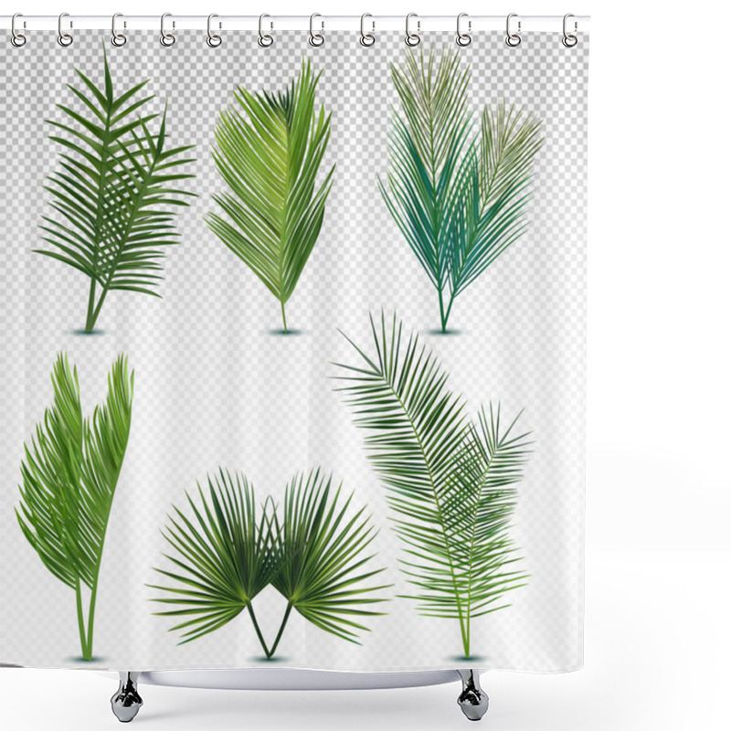 Personality  Big Collection Tropical Exotic Palm Leaf. Different Tropical Palm Leaves On Transparent Background. Summer Leaf. Icon Set. Vector Illustration Shower Curtains