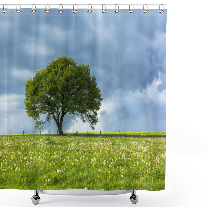 Personality  Oak Tree Old Eifel Clouds Hiking National Park Nrw Landscape Foliage Shower Curtains