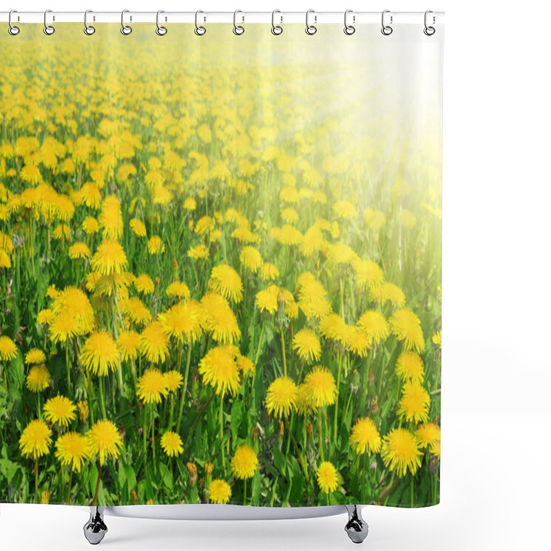 Personality  Dandelions Shower Curtains