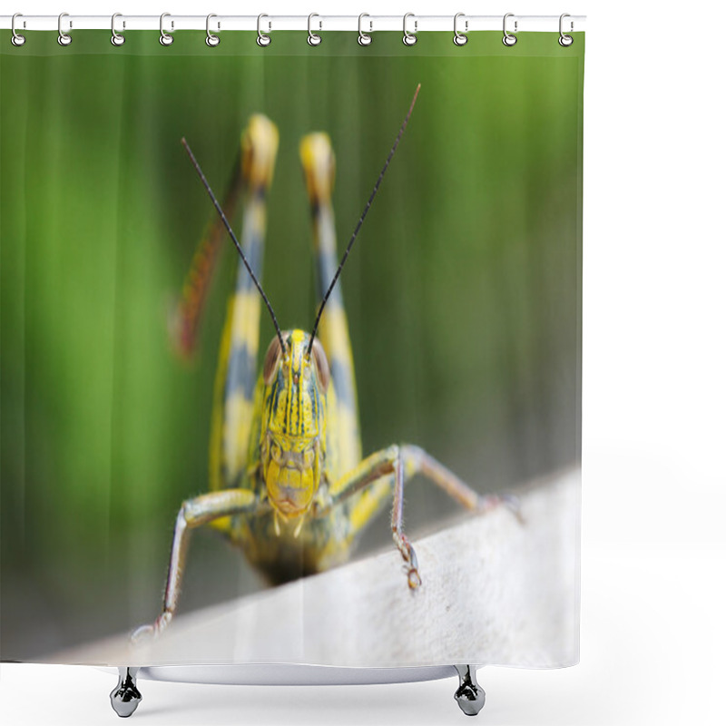 Personality  Close Up Of Locust  Shower Curtains