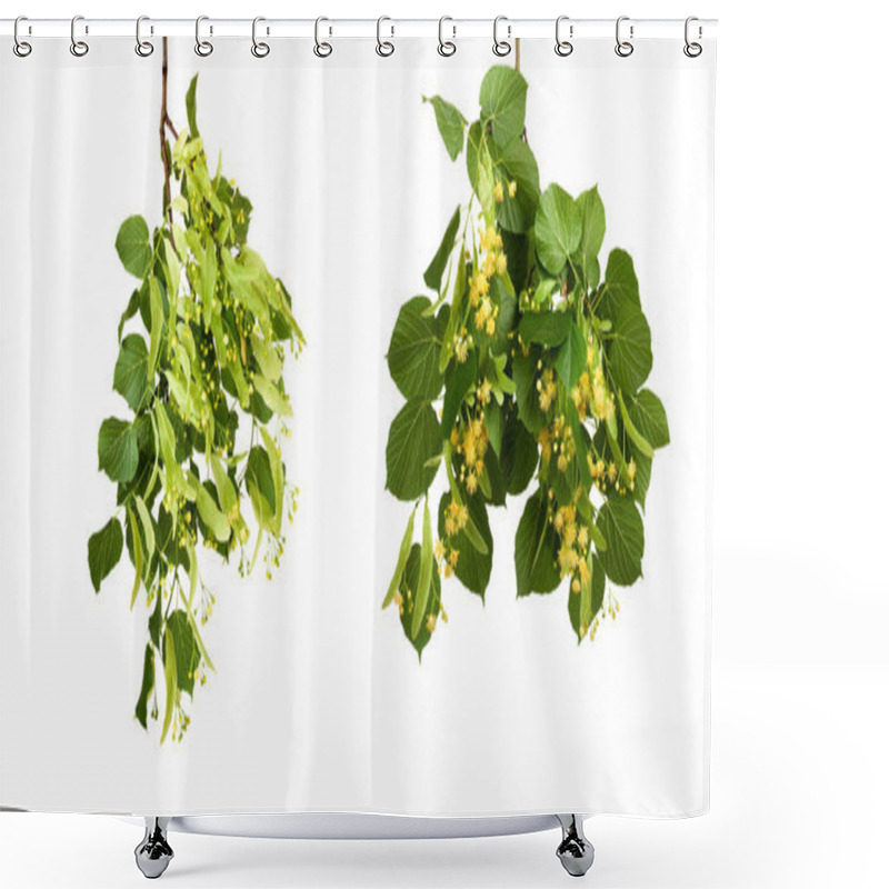 Personality  Set The Branch With Green Summer Leaves Isolated Shower Curtains