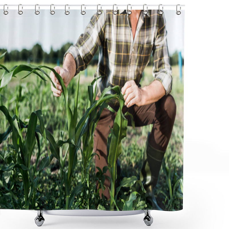 Personality  Selective Focus Of Self-employed Farmer Sitting Near Corn Field  Shower Curtains