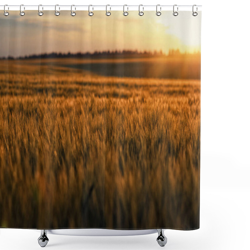 Personality  Magical Evening Atmosphere, Sunset View And Golden Wheat Field. Blurred Natural Horizon Background Shower Curtains