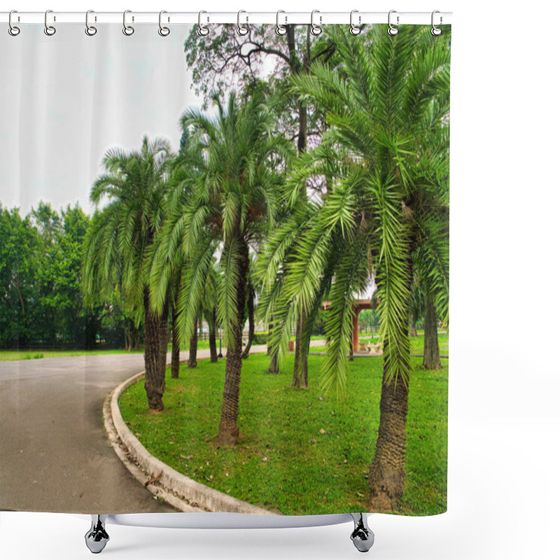 Personality  Palm Trees With Lush, Arching Fronds Stand On A Grassy Median, Bordered By A Curved Concrete Curb And An Asphalt Roadway Under A Bright Sky. Shower Curtains