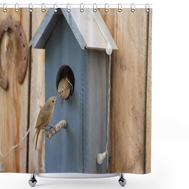 Personality  Birds Passing Food To Each Other In A Birdhouse To Feed Their Chicks Shower Curtains