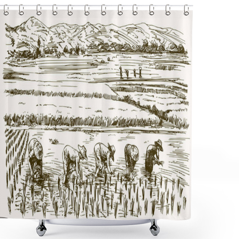 Personality  Asian Farmers Working On Field. Hand Drawn Illustration. Rice Ha Shower Curtains