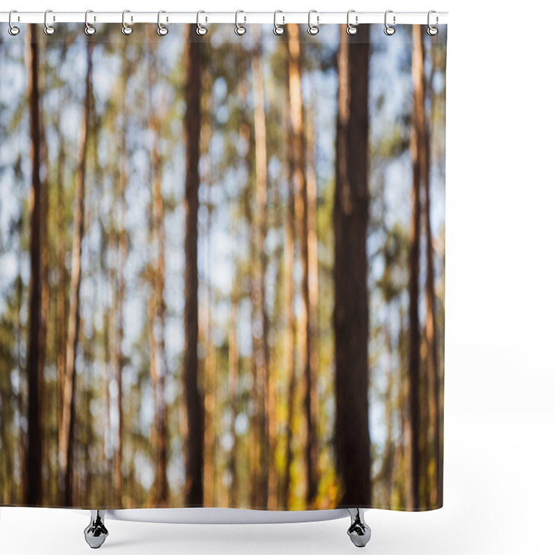 Personality  Defocused Image Of Scenic Autumnal Forest With Wooden Tree Trunks In Sunlight Shower Curtains