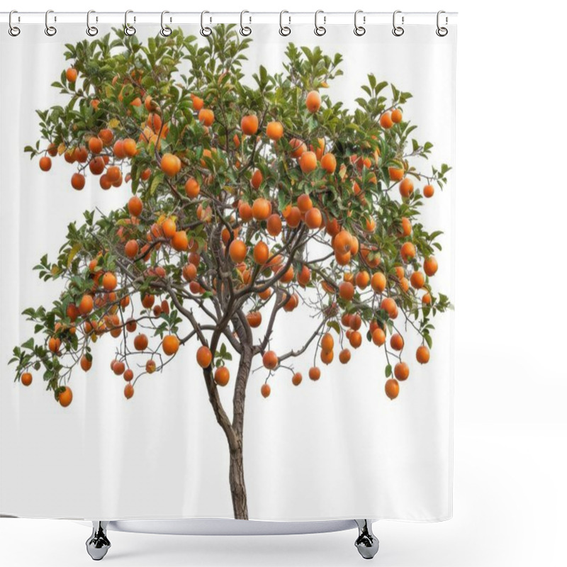 Personality  A Vibrant Orange Tree Laden With Ripe, Juicy Oranges Under Bright Green Leaves. Shower Curtains