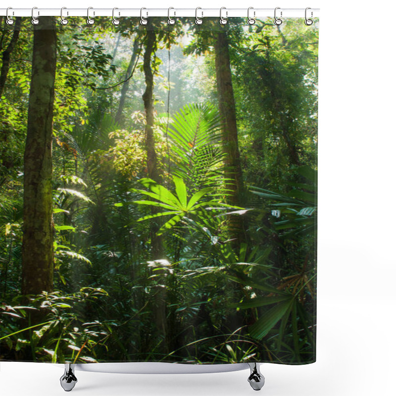 Personality  Beautiful Sunrise Shines On Peat Swamp Forest. Shower Curtains