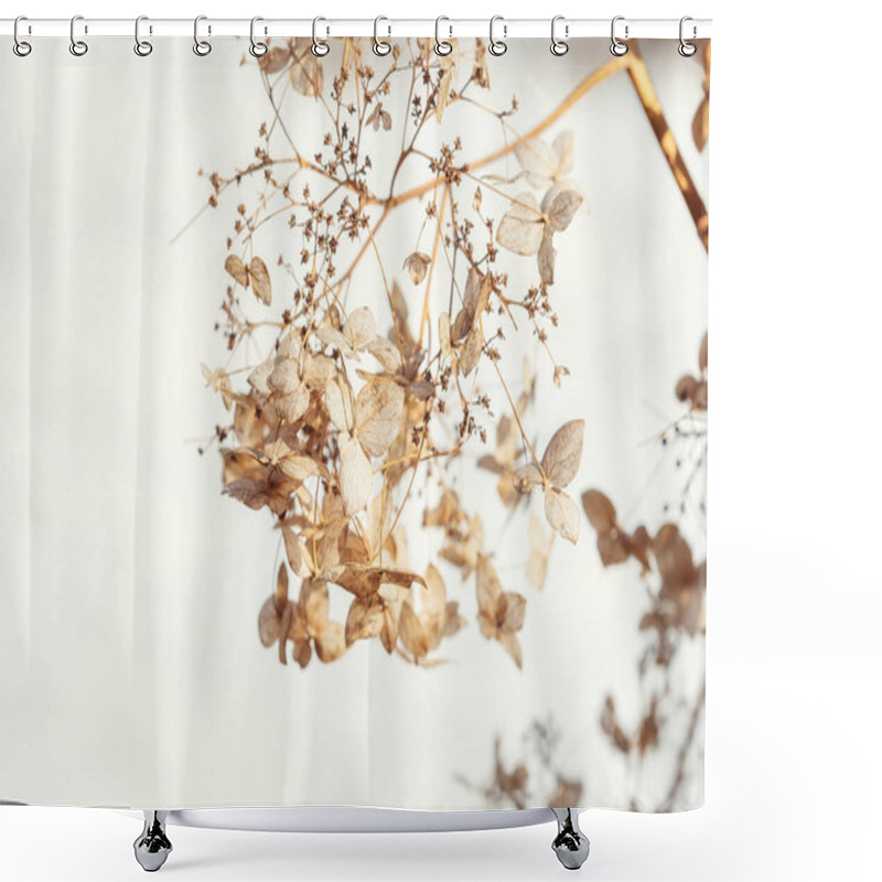 Personality  Dry Hydrangea Flowers On A Bush, Beautiful Natural Background, Macro Photo Shower Curtains