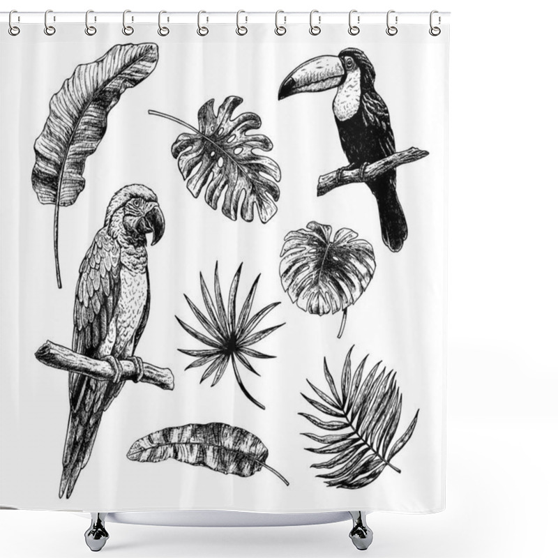 Personality  Drawing Set Of Tropical Leaves With Birds Toucan And Macaw Parrot. Vector Sketch. Illustration On White Background. Shower Curtains