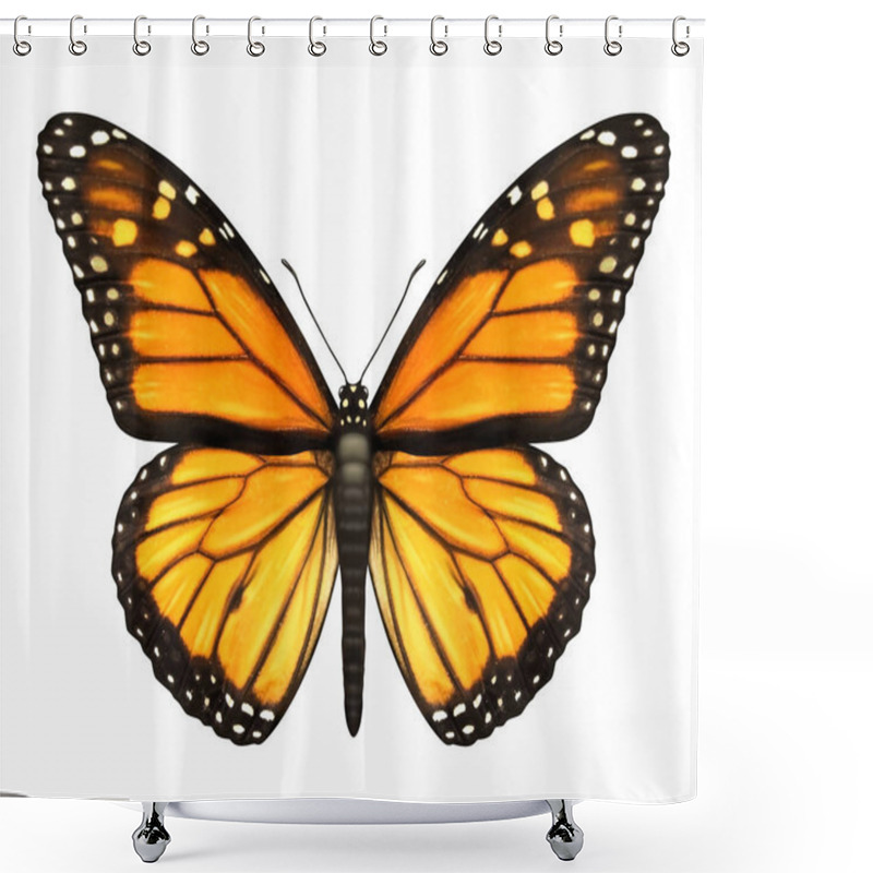 Personality  Monarch Butterfly With Open Wings In A Top View As A Flying Migratory Insect Butterflies That Represents Summer And The Beauty Of Nature. Shower Curtains