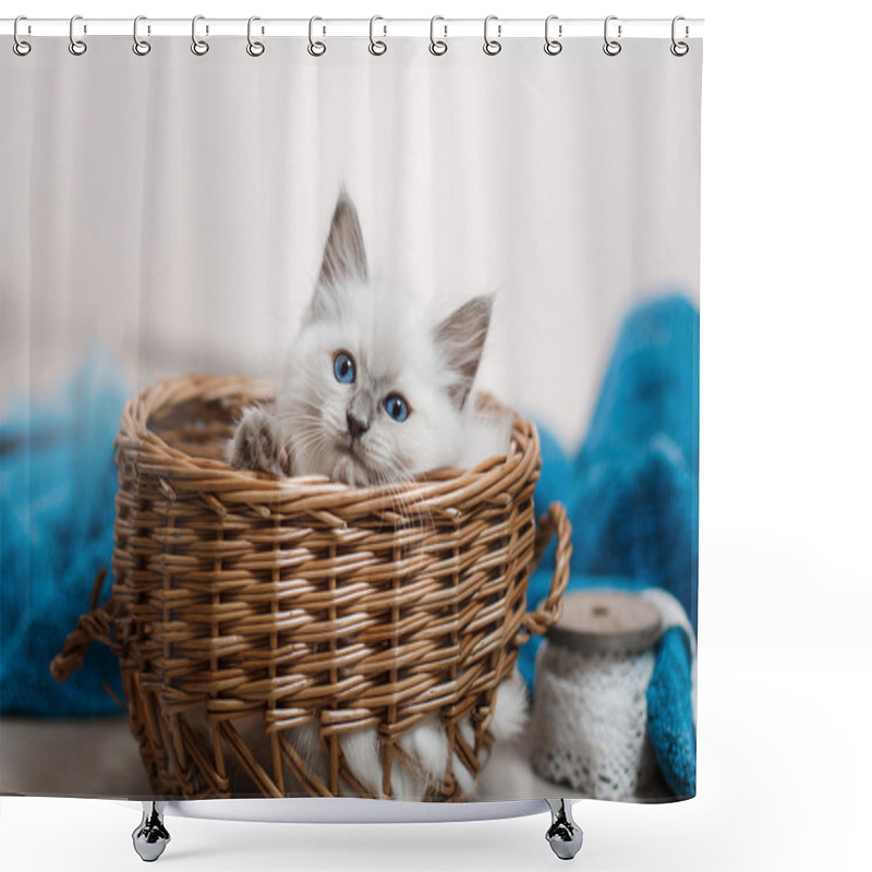 Personality  Ragdoll Blue Point Little Kitten  Shower Curtains