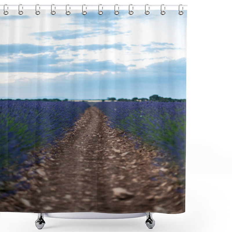 Personality  Explore The Picturesque Lavender Fields Of Spain, Where Vibrant Purple Blooms Create A Tranquil Escape From Daily Life. Shower Curtains