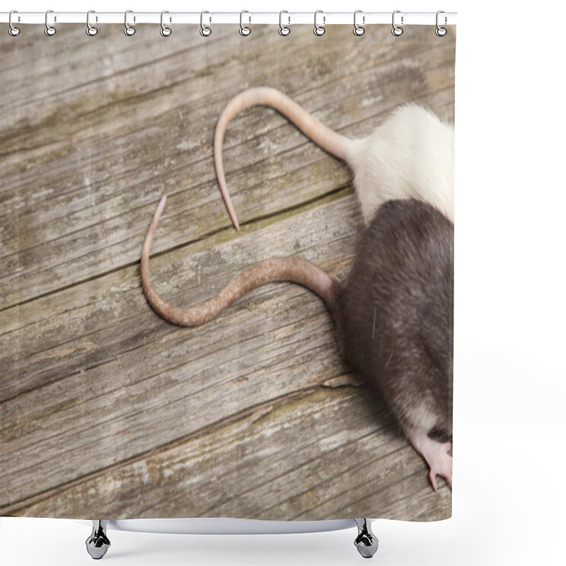 Personality  Tails Of Rats On A Wooden Table Shower Curtains