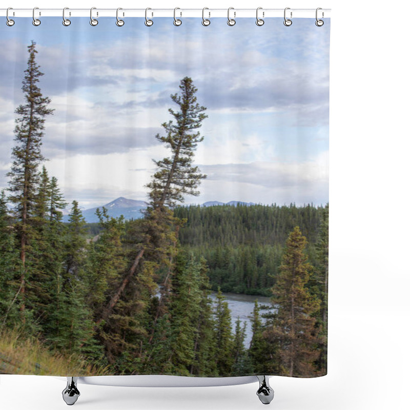 Personality  Lodgepole Pine Trees With Mountains In The Background Shower Curtains