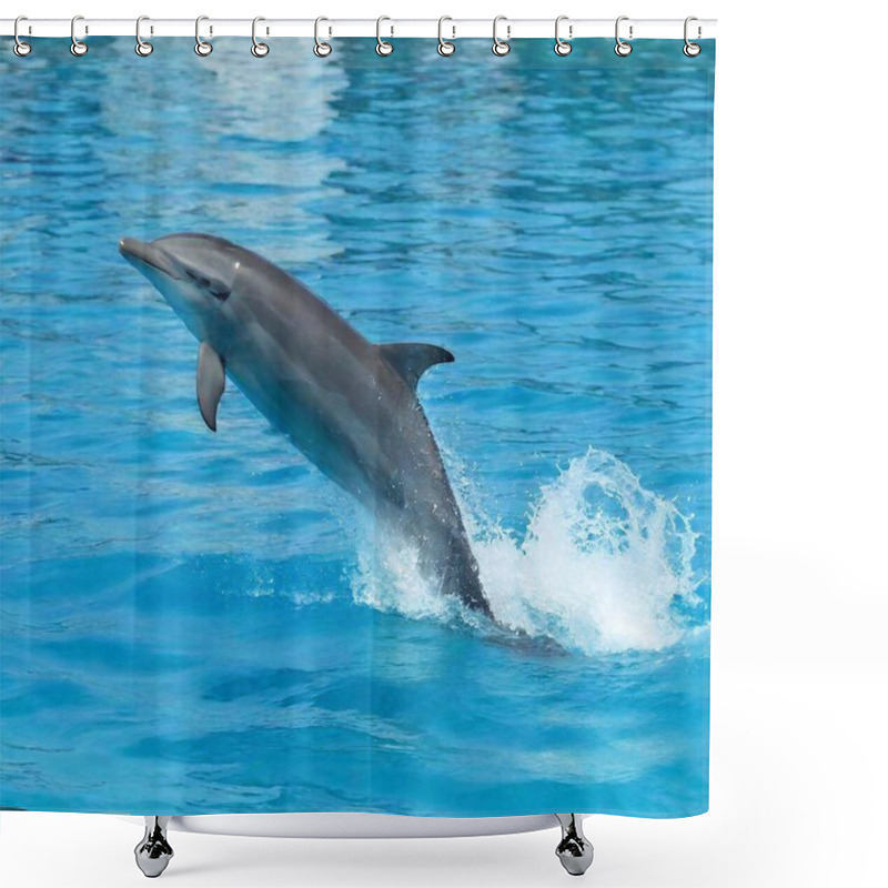 Personality  Dolphin In The Water Shower Curtains