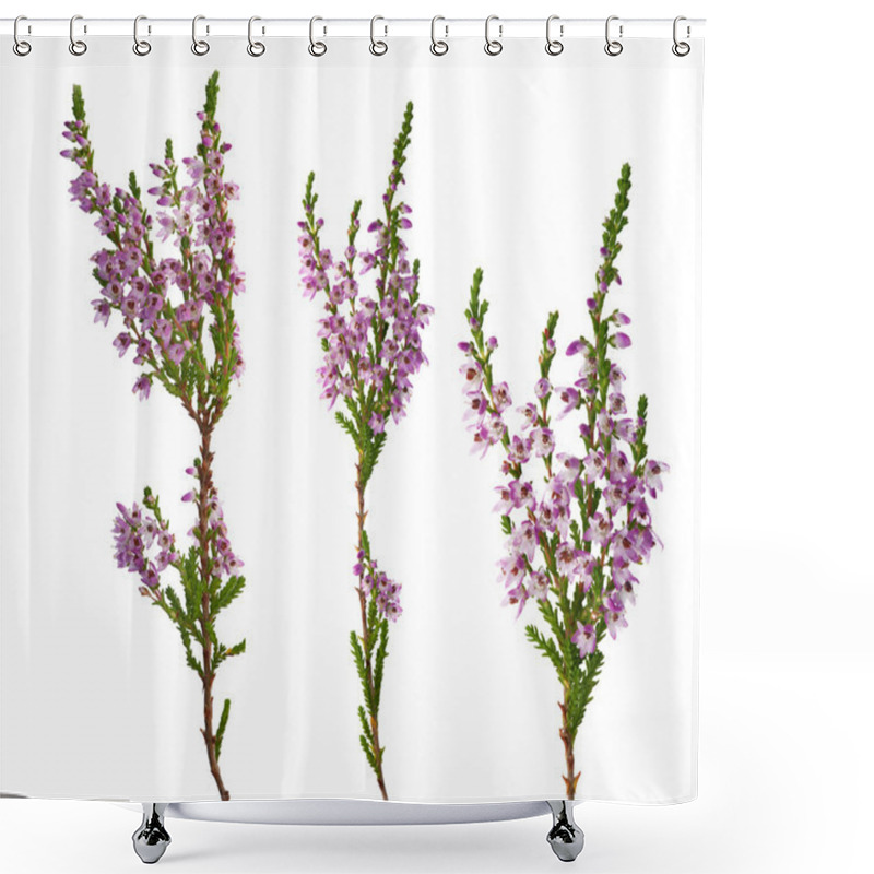 Personality  Three Purple Heather Branches Shower Curtains