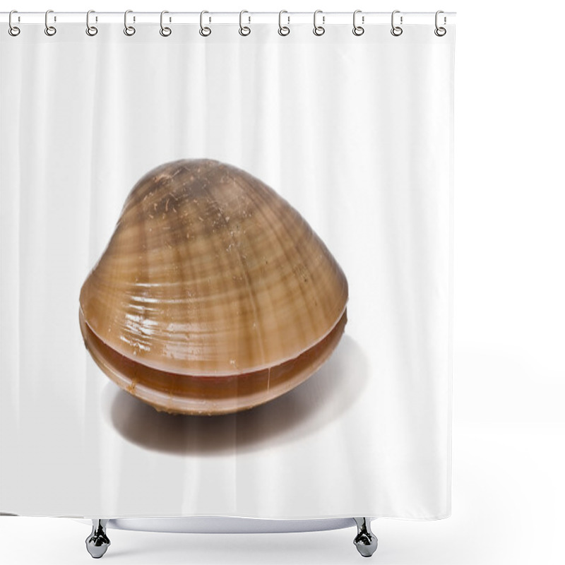 Personality  Clam. Shower Curtains