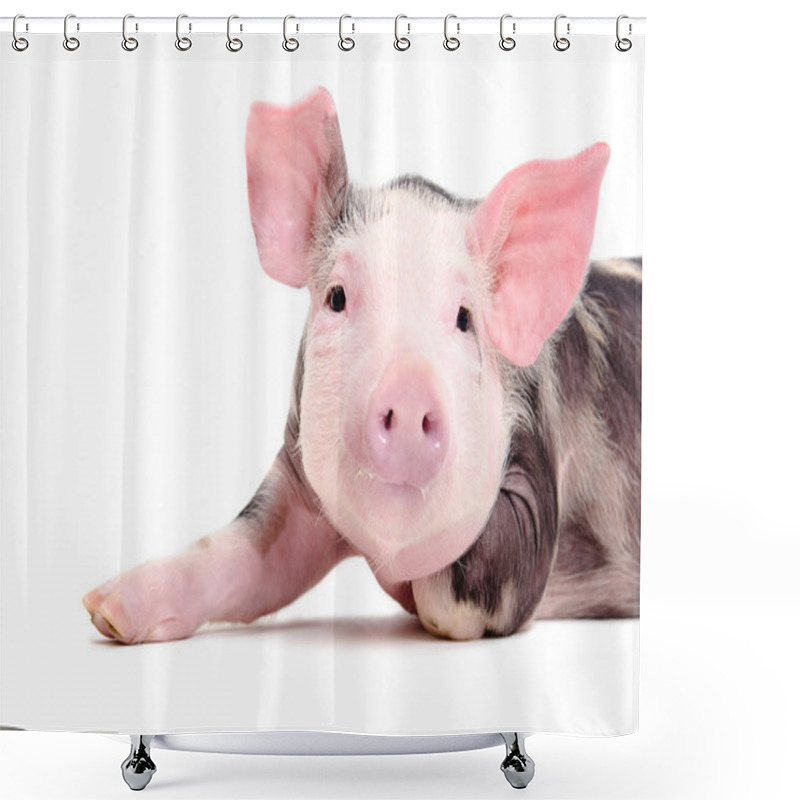 Personality  Portrait Of The Charming Little Pig Shower Curtains