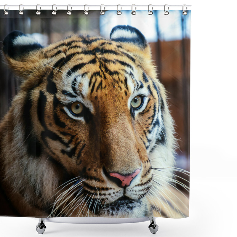 Personality  Tiger Face Shower Curtains