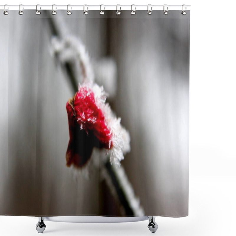 Personality  Icy Leaves And Fruits Shower Curtains