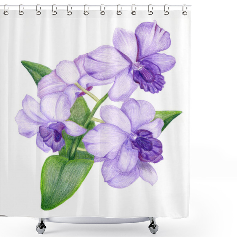 Personality  Hand-drawn Lilac Orchid Branch Shower Curtains