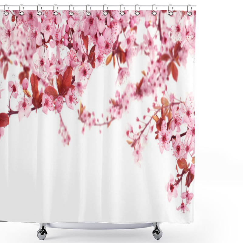 Personality  Beautiful Sakura Tree Branches With Delicate Pink Flowers On White Background Shower Curtains