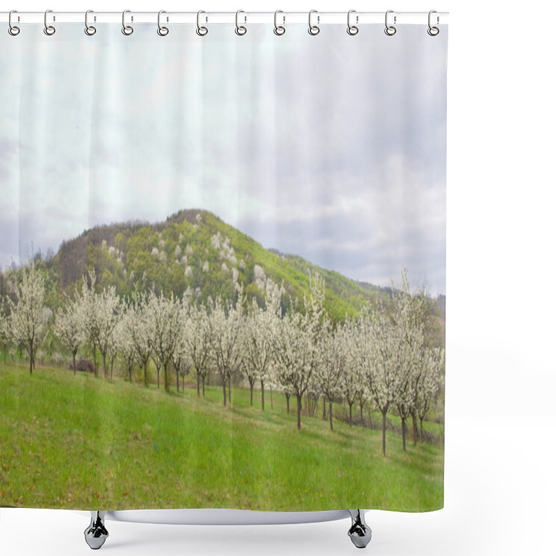 Personality  Apple Orchard Shower Curtains