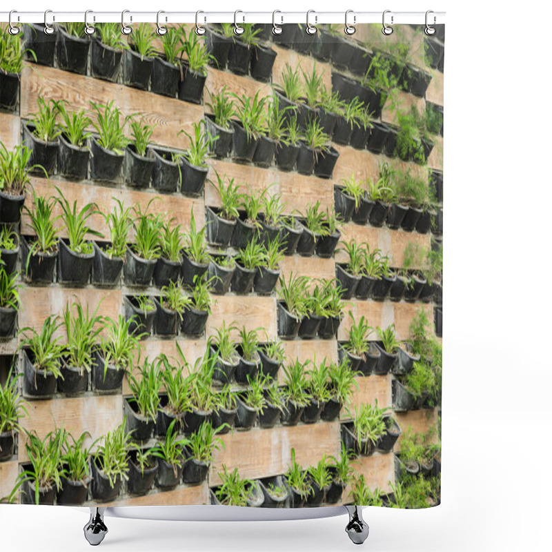 Personality  Vertical Garden Wall With Green Plants In Black Pots. Shower Curtains