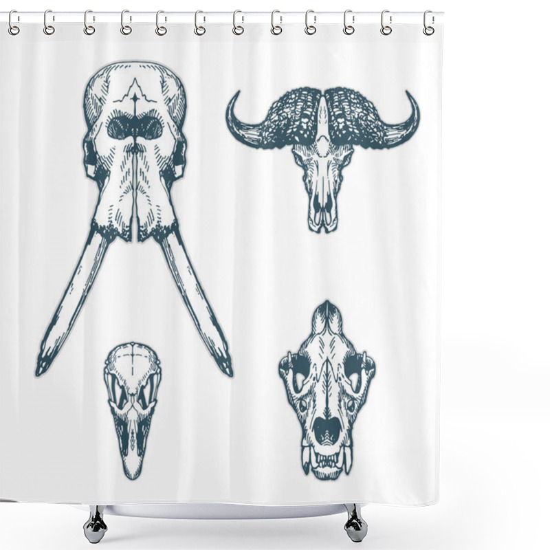 Personality  Animal Scull Set Elephant Buffalo Ostrich Lion Shower Curtains